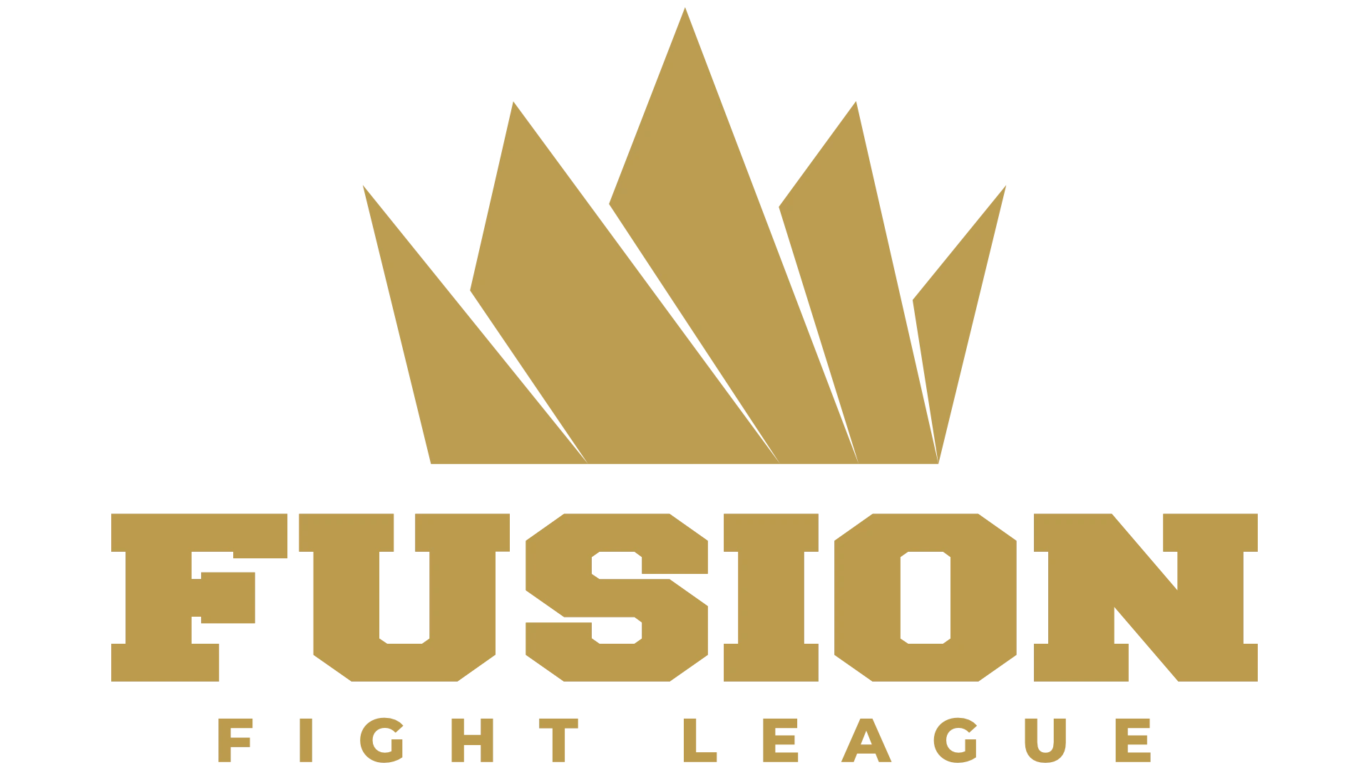 Fusion Fight League